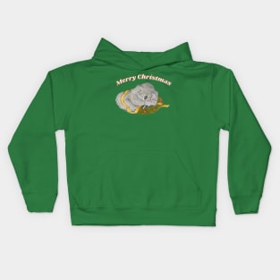 Koala Christmas Kids Hoodie